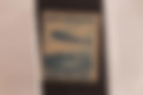 German Graf Zeppelin Postage Stamp Scott #C57-8 (preview)