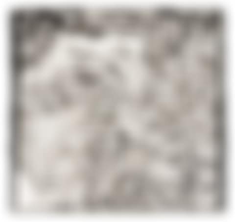 Swan Engraving VII (preview)