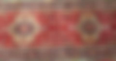 Oriental rug (preview)