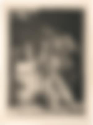 The three drinkers in the window (preview)