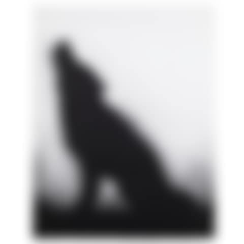 Coyote (Engberg 169) (preview)