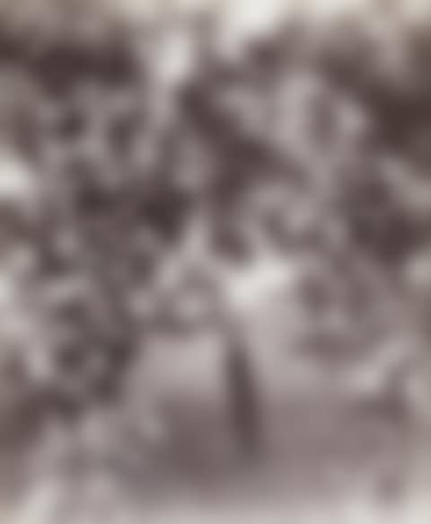 Pommier (preview)