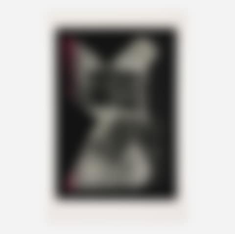 Untitled (from the Tonalities portfolio) (preview)
