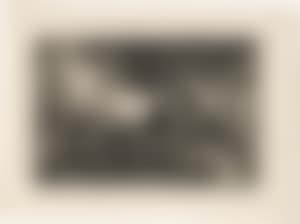Disparate claro (preview)