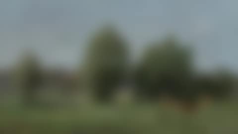 Environs d"Honfleur, pâturage (preview)