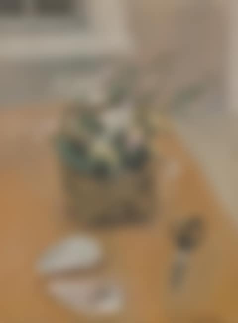 Still Life with Flower Basket, Shells, Scissors (preview)