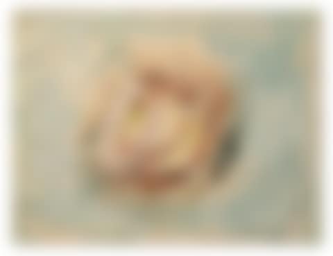 Fruit (preview)