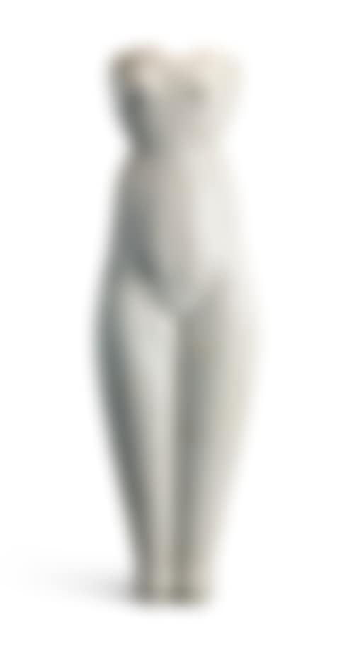 Symmetrical Torso (preview)
