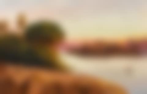 "And I will See, Before I Die, The Palms and Temples of the South" (preview)