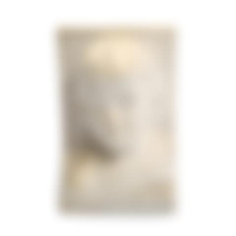 A relief bust in the shape of a young boy (preview)