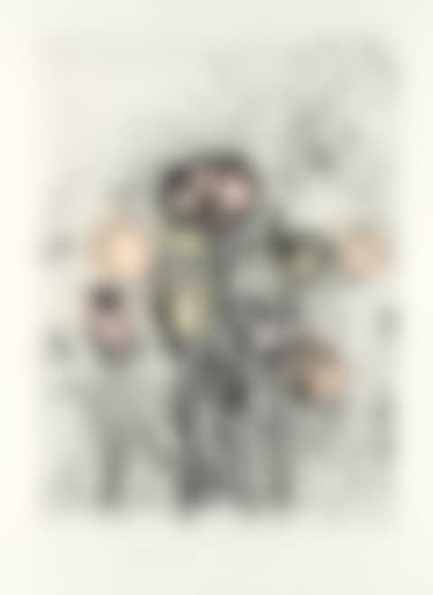 Tulips (preview)