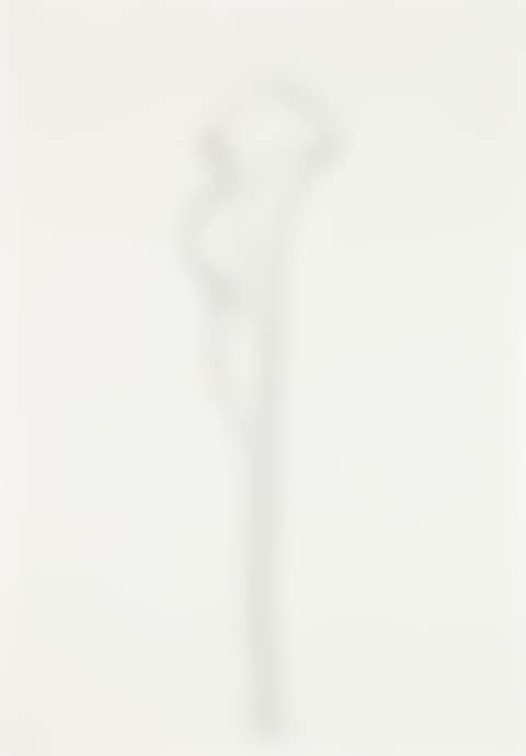 Calla Lily III, from Series of Plant and Flower Lithographs (G. 1206, A. 211) (preview)