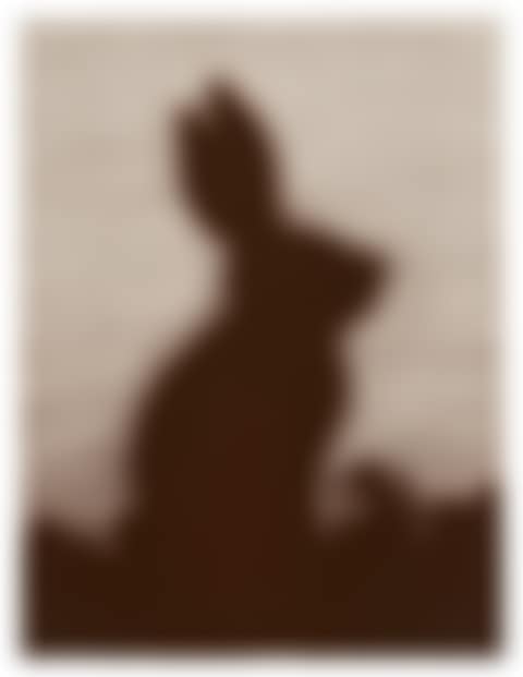 Rabbit (preview)