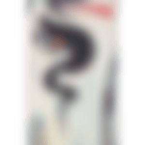 Embodiment (preview)