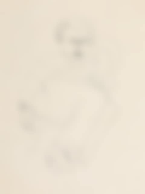 Portrait of Lucian Freud (preview)
