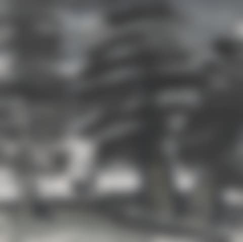 Woodcutter Returning (preview)