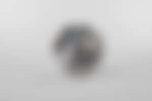 Bullet (preview)