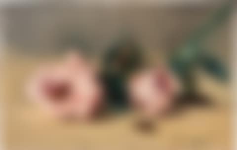 Les pivoines et le hanneton (preview)