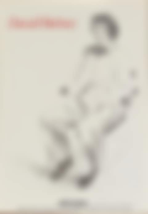 David Hockney (preview)