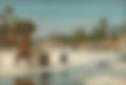 Caravan passing an oasis (preview)