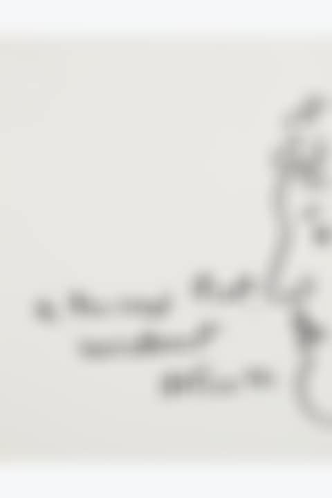 Untitled (Portrait de Bernard Pivot) (preview)