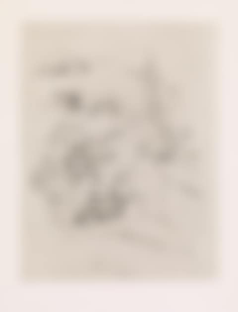 Les Chants de Maldoror (preview)