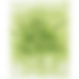 Greetings (preview)