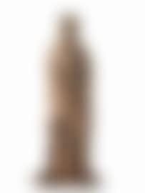 Figure of apostle (preview)