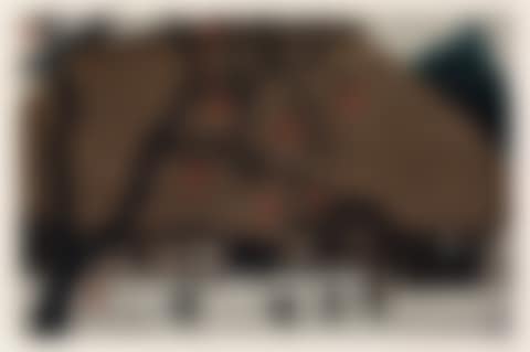 Village Scene with Persimmons (preview)