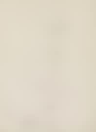 Automatic Drawing (preview)