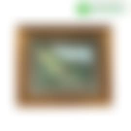 Snails (preview)