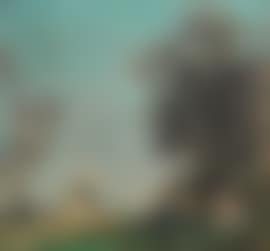 Garden party (preview)