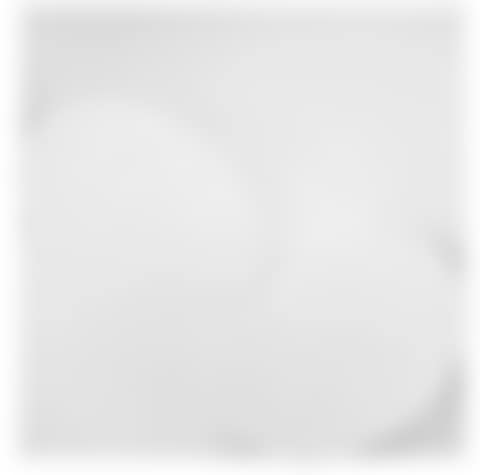 2 white ovals (preview)