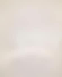 3 white ovals (preview)