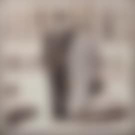 Without title (preview)
