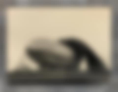 U.S.S. Airship Akron (preview)