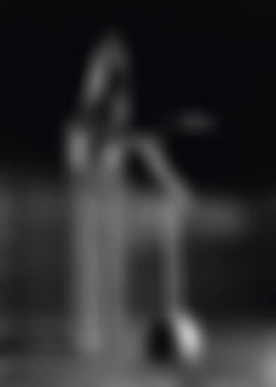 Melancholic tulip (preview)