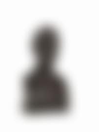 Bust of gentleman (preview)