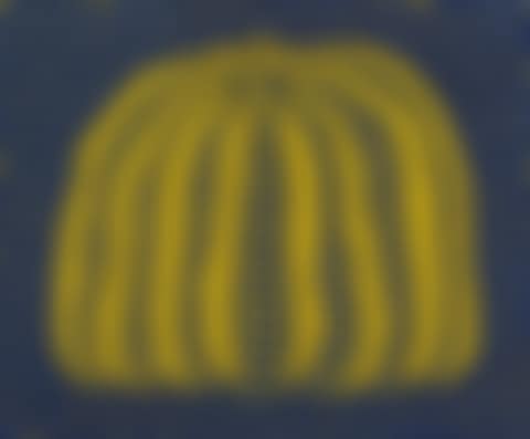 A Pumpkin (BY) (preview)