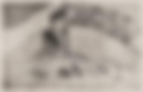 La Femme aux Figues (preview)