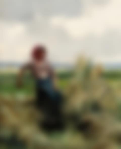 Haymaking (preview)