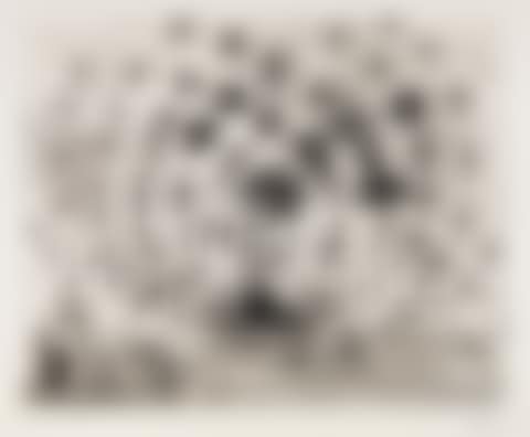 Argus (preview)