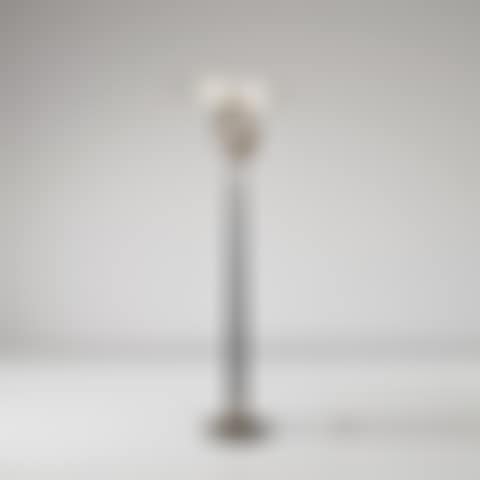 Rare floor lamp (preview)