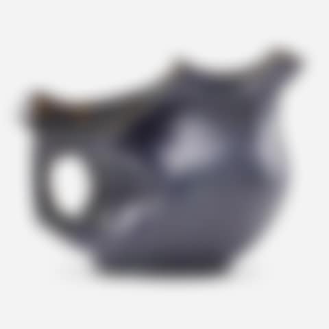 Fine pitcher (preview)