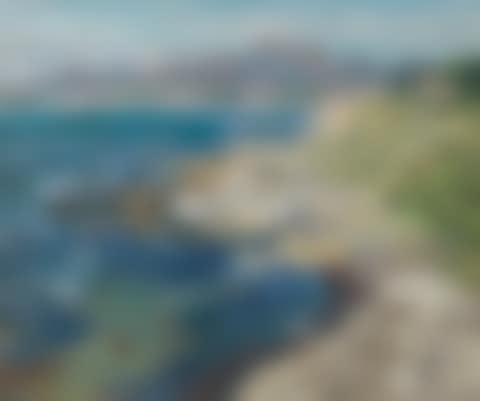 The sea at Rosas (preview)