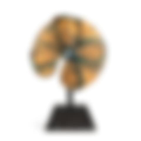 Fan (Hard Model) (preview)