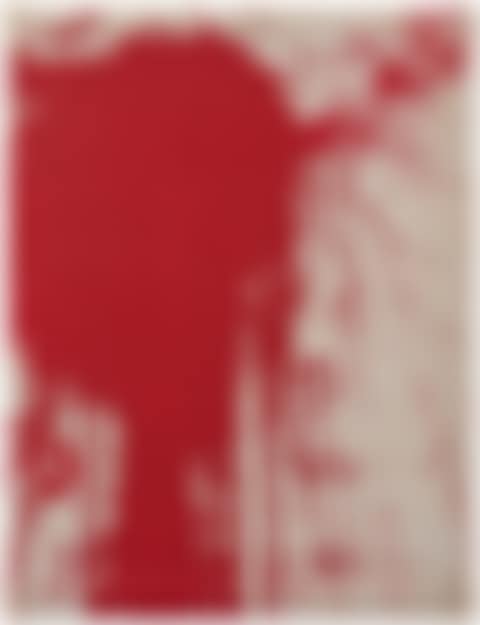 Schüttbild (preview)