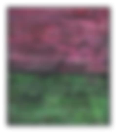 SP86 (preview)