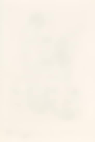 Le Modele nu [Bloch 78; Geiser 119] (preview)