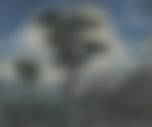 Landschaft mit Bäumen (preview)